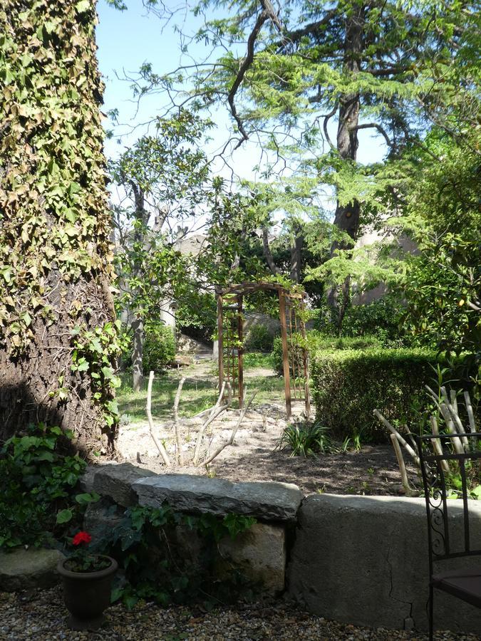 Gite Eloi Merle Olonzac Exterior photo